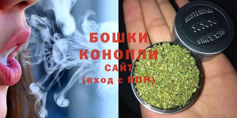 площадка наркотические препараты  Людиново  МАРИХУАНА SATIVA & INDICA 